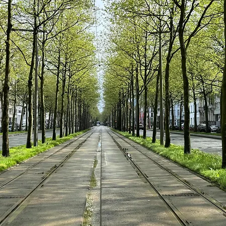 Rubenshof * Antwerp